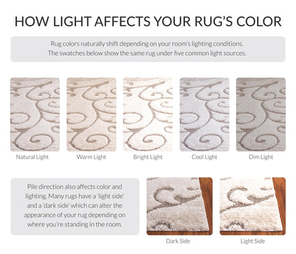 SAFAVIEH Area Rug 8x10 - Florida Shag Collection - Large - Cream & Beige, Scroll Design, Non-Shedding & Easy to Clean, High-Low Plush Pile, Ideal for Living Room, Bedroom, Dining Space (SG455-1113)