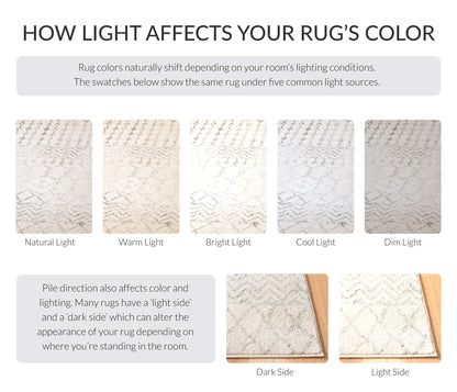 SAFAVIEH Area Rug 10x13 - Tulum Collection - Large - Ivory & Grey, Moroccan Boho Distressed Design, Non-Shedding & Easy to Clean, Ideal for Living Room, Bedroom, Dining Space (TUL270A)