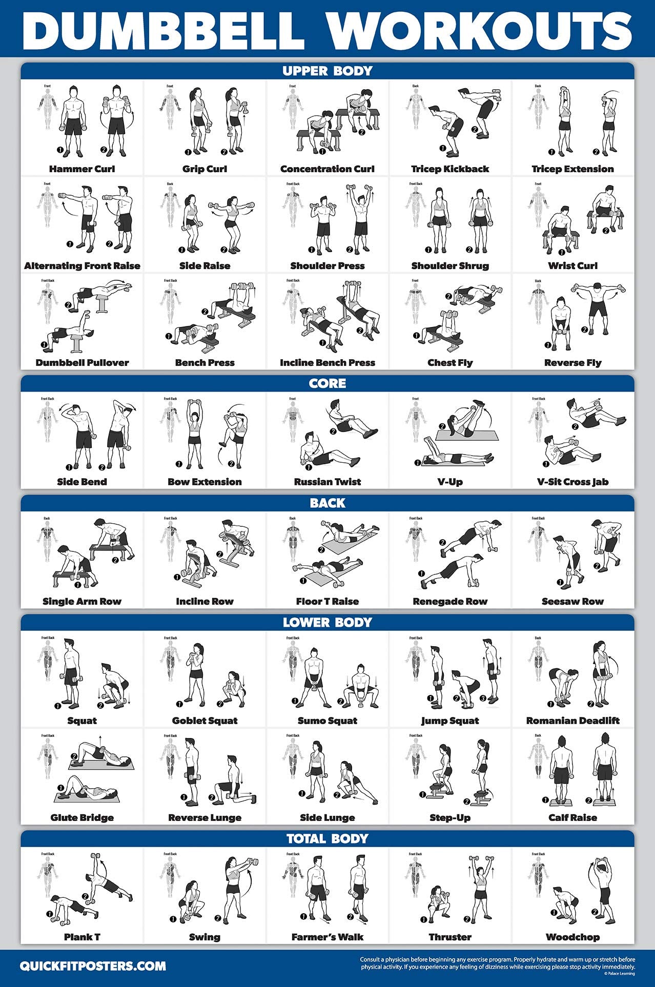 Palace Learning 3 Pack - Suspension Workout Posters - Volume 1 & 2 + Dumbbell Exercises Poster Set - Set of 3 Workout Charts (LAMINATED, 18" x 24")