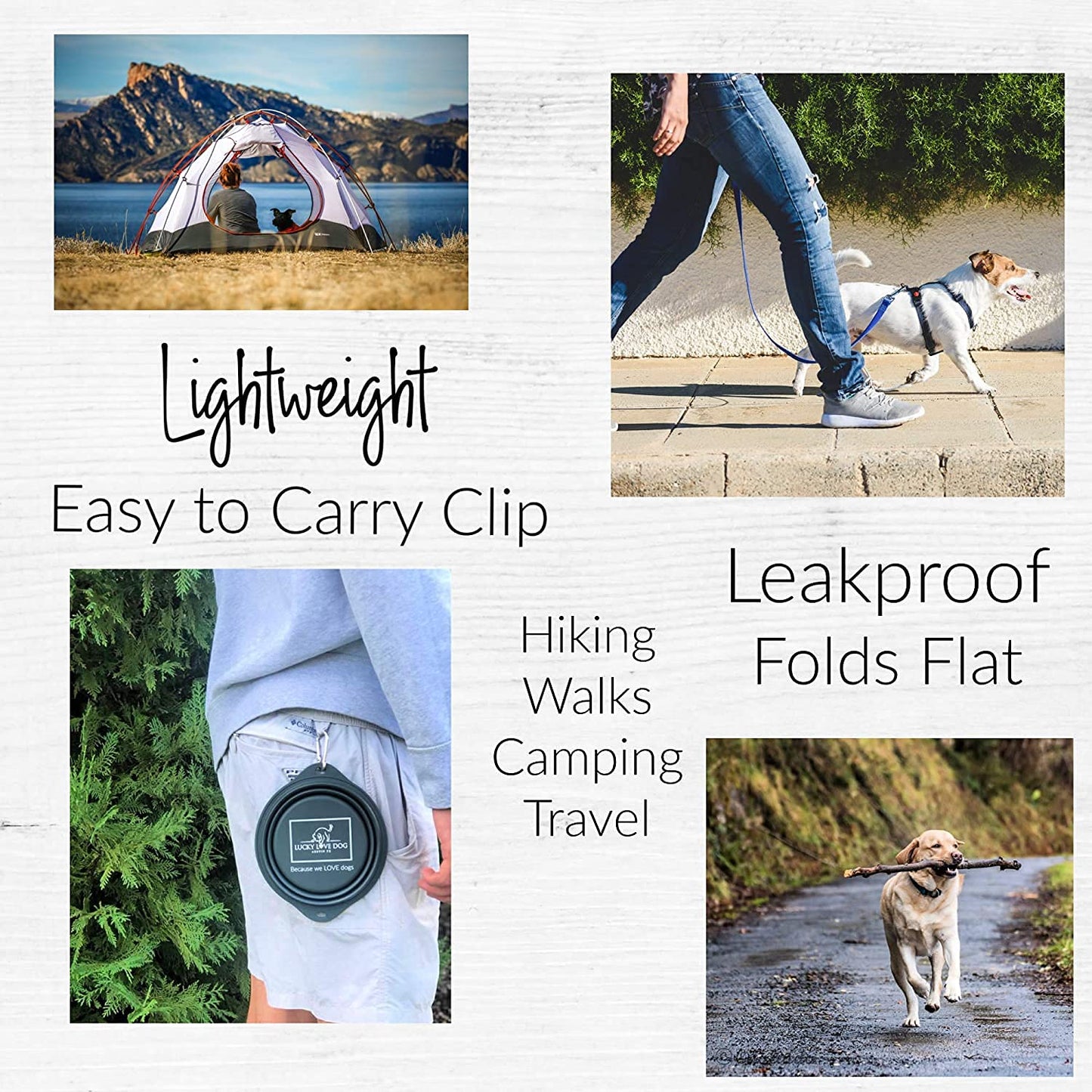 Lucky Love Dog Travel Dog Bowl, Collapsible Compact Water Dog Dish, Rose