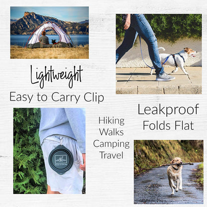 Lucky Love Dog Travel Dog Bowl, Collapsible Compact Water Dog Dish, Rose