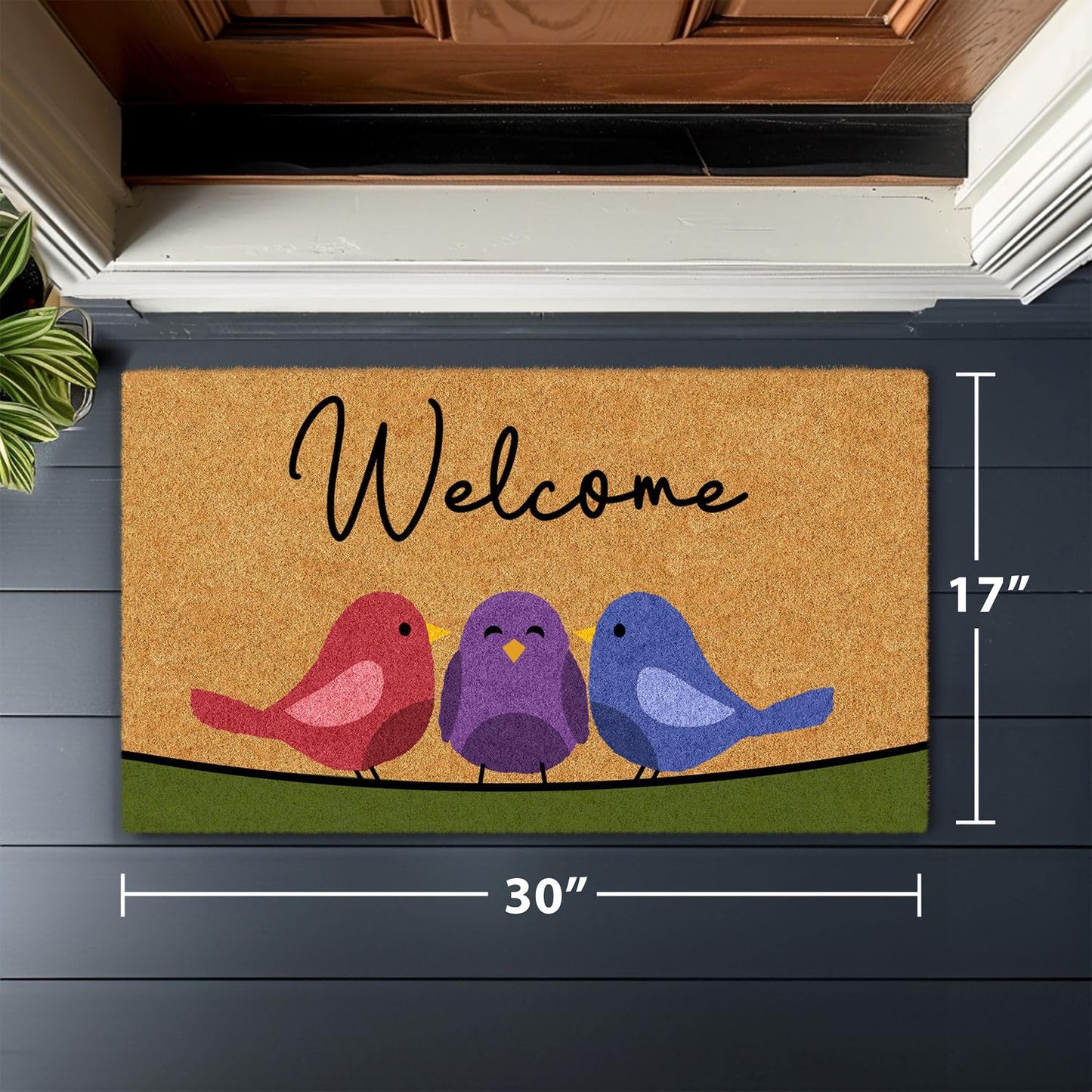 Barnyard Designs Natural Coco Coir Spring Birds Doormat - Large Cute Non-Slip Heavy Duty Backing Door Mat for Outside Entrance or Porch Entry, Brown (17x30, Spring Birds)