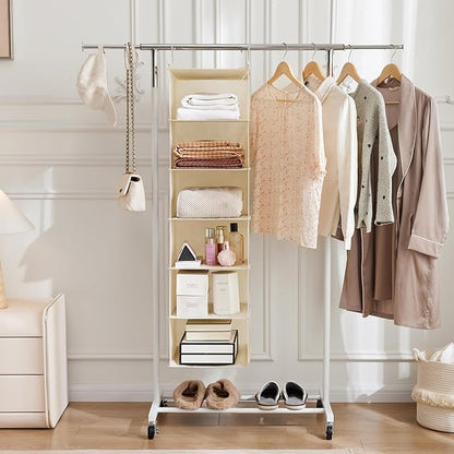 MAX Houser 6 Tier Shelf Hanging Closet Organizer, Cloth Hanging Shelf