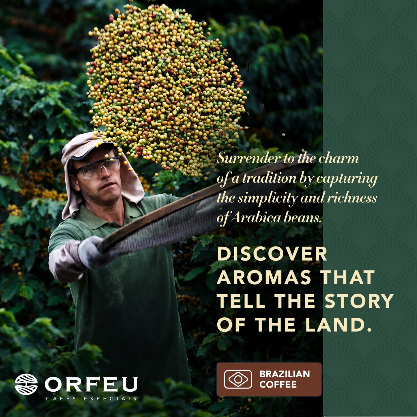 ORFEU - Special Coffee Intense - Drip Sachet - 100% Arabica Coffee, Dark Roast, Aroma of Toasted Caramel & Fruit Jam, Low Acidity, Made In Brazil, Velvety Body - 10 Units, 100g