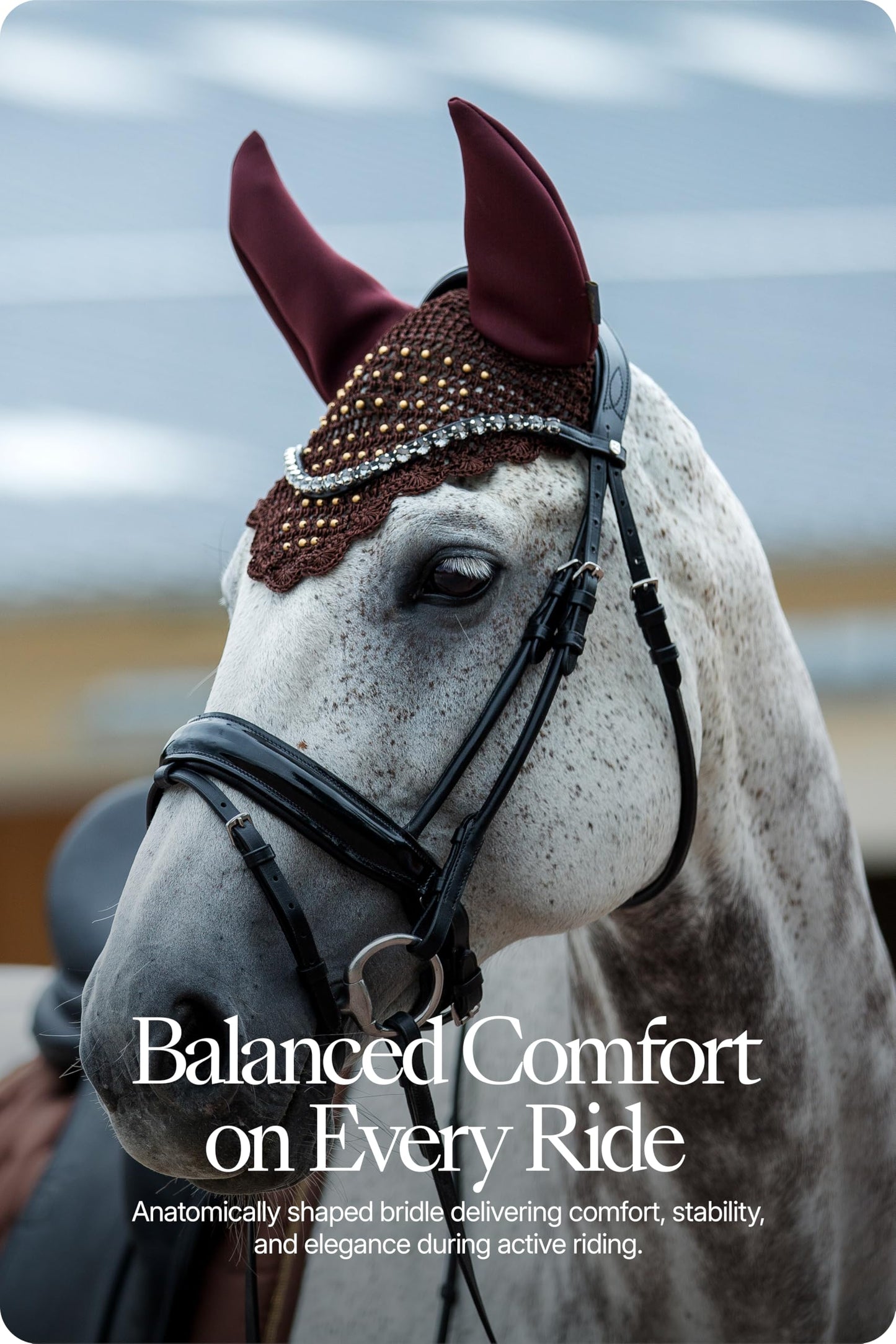 HORZE Clermont Ergonomic Padded Genuine Leather Snaffle Bridle for Horses | Flash Noseband Included - Black - Horse