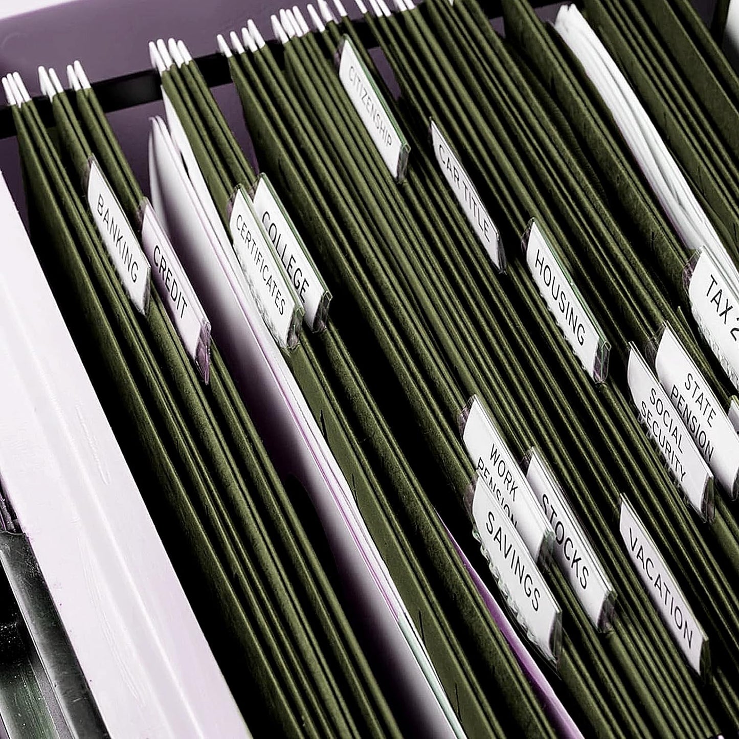 Extra Capacity Hanging File Folders, RAZCC 30 Pack Letter Size Reinforced Hanging Folders with Heavy Duty 1 Inch Expansion for Bulky Files, Filing Cabinet, Adjustable Tabs, Green