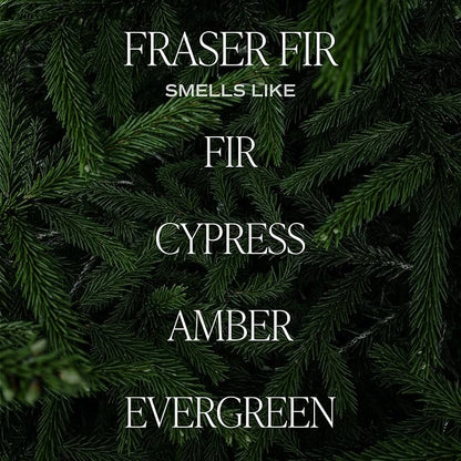 Sweet Water Decor Fraser Fir Candle - Evergreen, Cedar, Winter Holiday Scented Soy Christmas Candles for Home - 9oz Clear Jar, 40 Hour Burn Time, Made in The USA