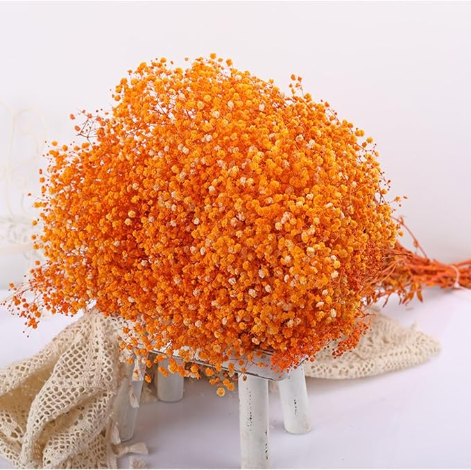 Dried Babys Breath Flowers Bouquet-17 Inch 2500+ Ivory Orange Dry Flowers, Natural Gypsophila Branches for Wedding Flowers, Table Vase Decor, DIY Wreath Floral, Home Office Party Garden Decoration