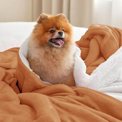 Bedsure GentleSoft Sherpa Fleece Blankets Queen Size for Bed - Thick and Warm, Soft Fuzzy Plush Queen Blanket for Winter, Burnt Orange, 90x90 Inches