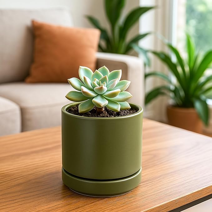D'vine Dev Set of 2 Plants Pots, 4.7 Inch Ceramic Planter Pot for Plants with Drainage Hole and Saucer, Olive, 94-V-B-J
