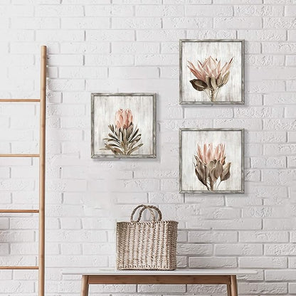 Pink Floral Wall Art Picture: Blossom Protea Flower Artwork Print on Rustic Wood Framed for Home Decor (12” x 12” x 3 Panels)