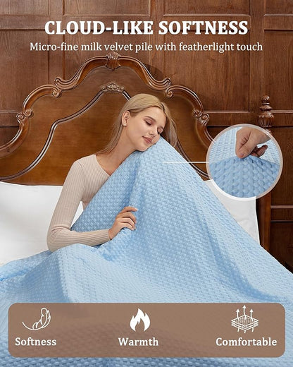 CAROMIO Heated Blanket Queen Size with LCD Dual Controller, Waffle Weave Fast Heating Electric Blankets, 10 Heat Levels & 1-12H Time Settings, ETL Certified, Machine Washable, Light Blue, 84" x 90"