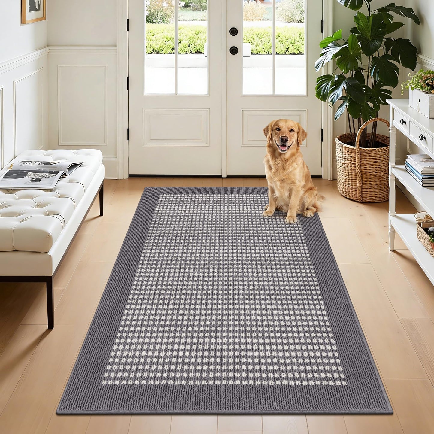 Ileading Indoor Door Mat 3x5ft Absorbent Dog Mats for Muddy Paws,Machine Washable Small Living Room Area Rug with Non-Slip Rubber Backing Low-Profile Inside Carpet for Hallway,Kitchen