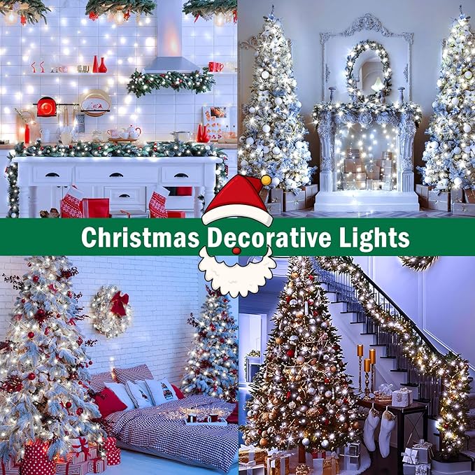 SAUIRS 60FT 160 LED Christmas Lights Outdoor String Lights with 8 Modes Timer Waterproof Fairy Light Plug in for Outside Indoor Party Xmas Palm Tree Yard Wedding Decorations(Cool White)