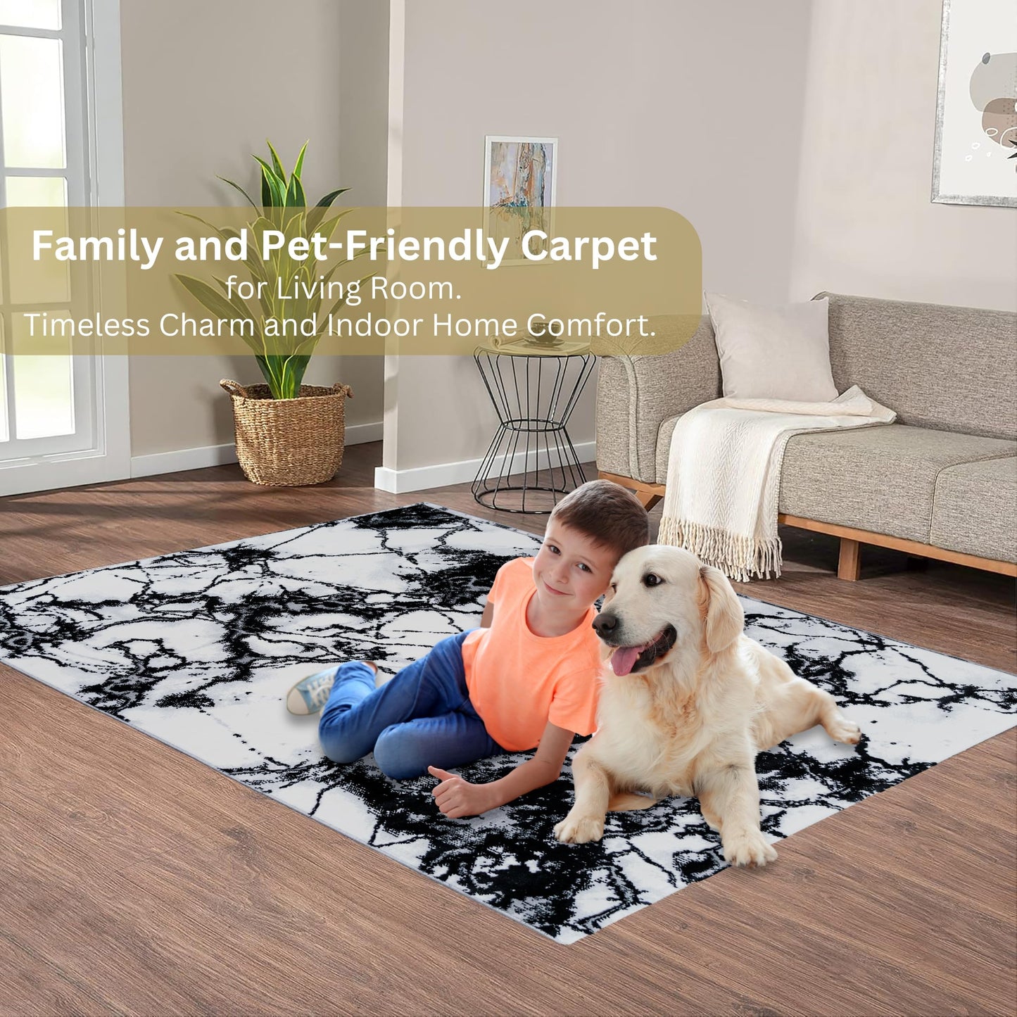 CoziRita 5x7 Modern Abstract Area Rug for Living Room, Soft Medium Pile Carpet, Non-Shedding Easy Care, High Traffic Floor Rug, Family Friendly, Pet Friendly, Designed for Real Homes - Black Marble