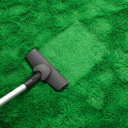AROGAN Luxury Soft Shaggy Carpet, 3x5 Feet Green Fluffy Bedroom Rug for Living Room, Kids Girls Playroom Teen Room Nursery Decor