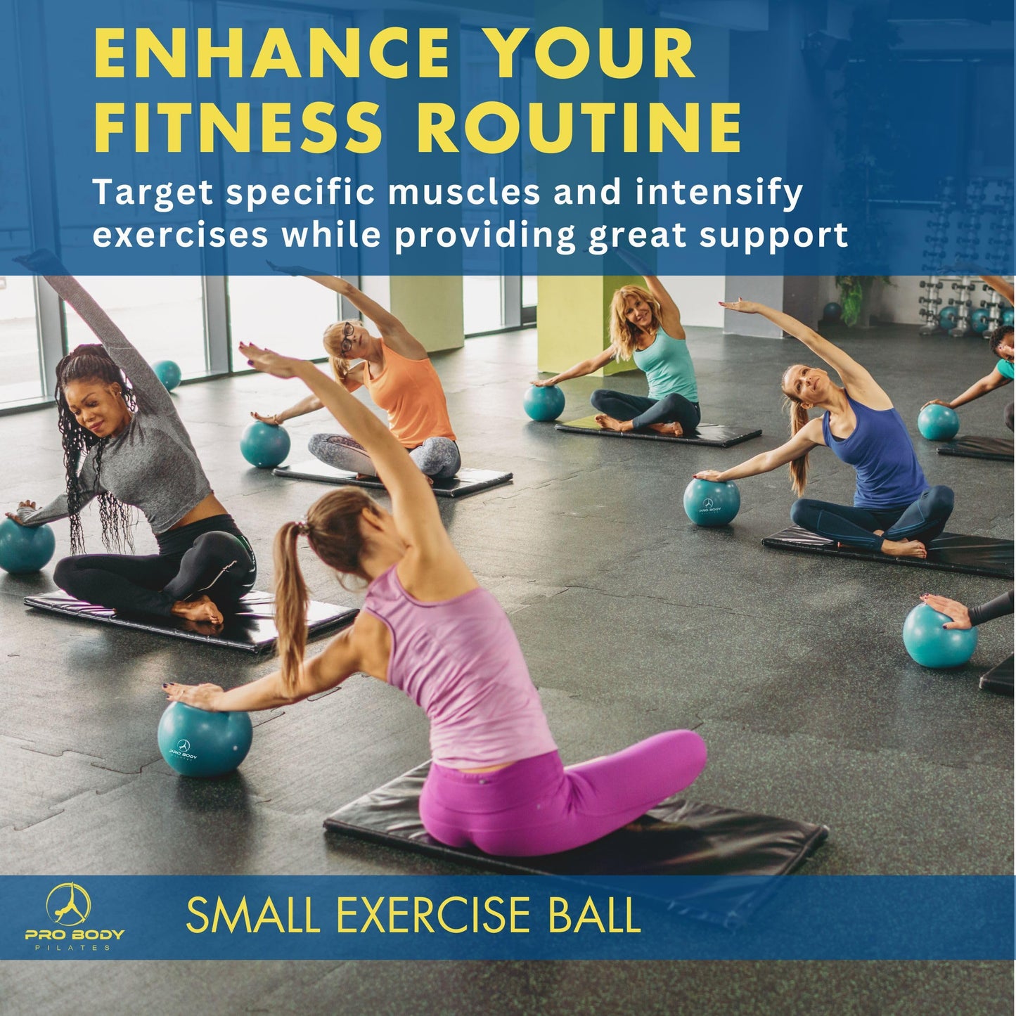 ProBody Pilates Small Exercise Ball with Pump - 9 Inch Workout Ball for Stability, Barre, Yoga, Core & Physical Therapy, Home Gym & Office Use (Pink)