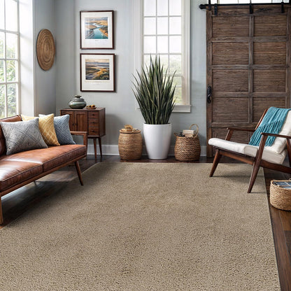 Area Rug 3x5 Beige Washable Indoor Rug Ultra Plus 0.75 in Thick Pile Solid Non Slip Easy to Clean Non Shedding Indoor for Living Room Bedroom Kitchen Dining Room or Hallway (3 X 5 Beige)
