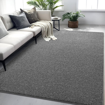 FALARK 4x6 Area Rugs for Bedroom Living Room, Dark Grey Soft Low-Pile Modern Indoor Thickened Memory Foam Non-Slip Washable Carpets for Kids Dorm Home Decor Rug
