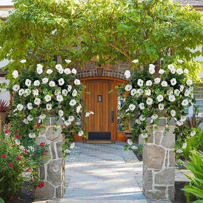 Artificial Flowers Faux Outdoor Plants Artificial Petunias for Outdoors Uv Resistant Fake Petunias Plants Hanging Flower Patio Decor Outside Basket Realistic Silk Plant No Pot(White 2pcs)