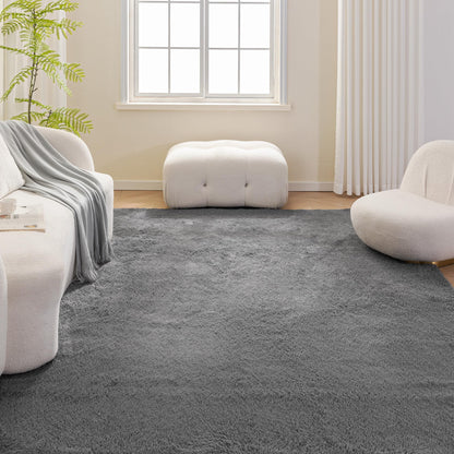 Amazon Basics Fluffy Washable Area Rug, Shaggy Carpet for Living Room, Bedroom, 4' W × 6' L, Dark Gray