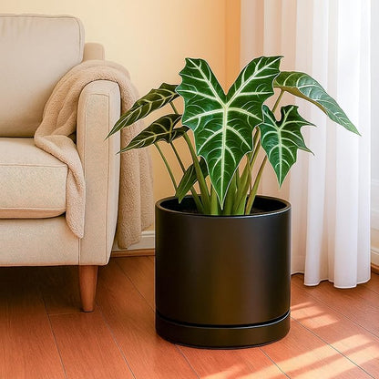 D'vine Dev 8.2 Inch & 10 Inch Ceramic Planter Pot for Plants with Drainage Hole and Saucer, Large Plant Pots Set, Black, 94-G-L-2