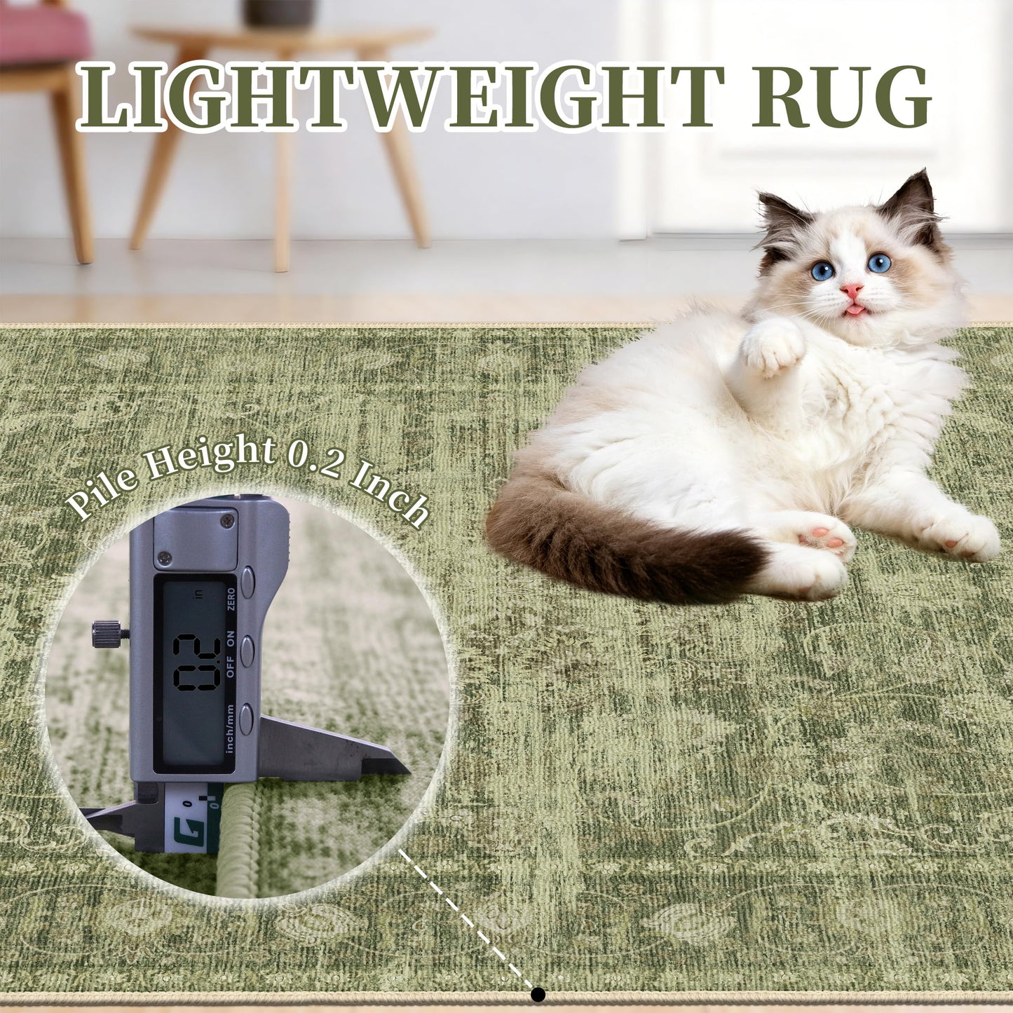 TTelephant Washable Rugs 5x7, Vintage Medallion Carpet for Bedroom, Living Room and Dining Room, Low Pile Sage Green Rug with Non-Slip Silicone Backing, Non-Shedding Stain Resistant