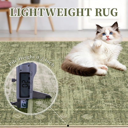 TTelephant Washable Rugs 5x7, Vintage Medallion Carpet for Bedroom, Living Room and Dining Room, Low Pile Sage Green Rug with Non-Slip Silicone Backing, Non-Shedding Stain Resistant