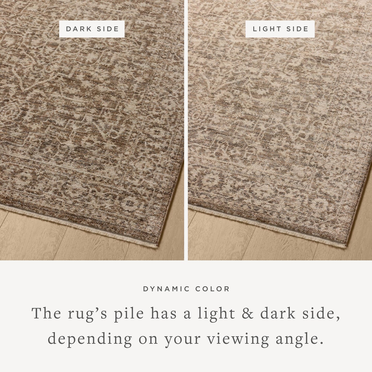 Loloi Newman Collection NEW-02 Dark Taupe/Natural 5'-3" x 7'-6" .37" Pile Height, Area Rug, Soft, Durable, Non-Shedding, Easy Clean, Rug for Living Room