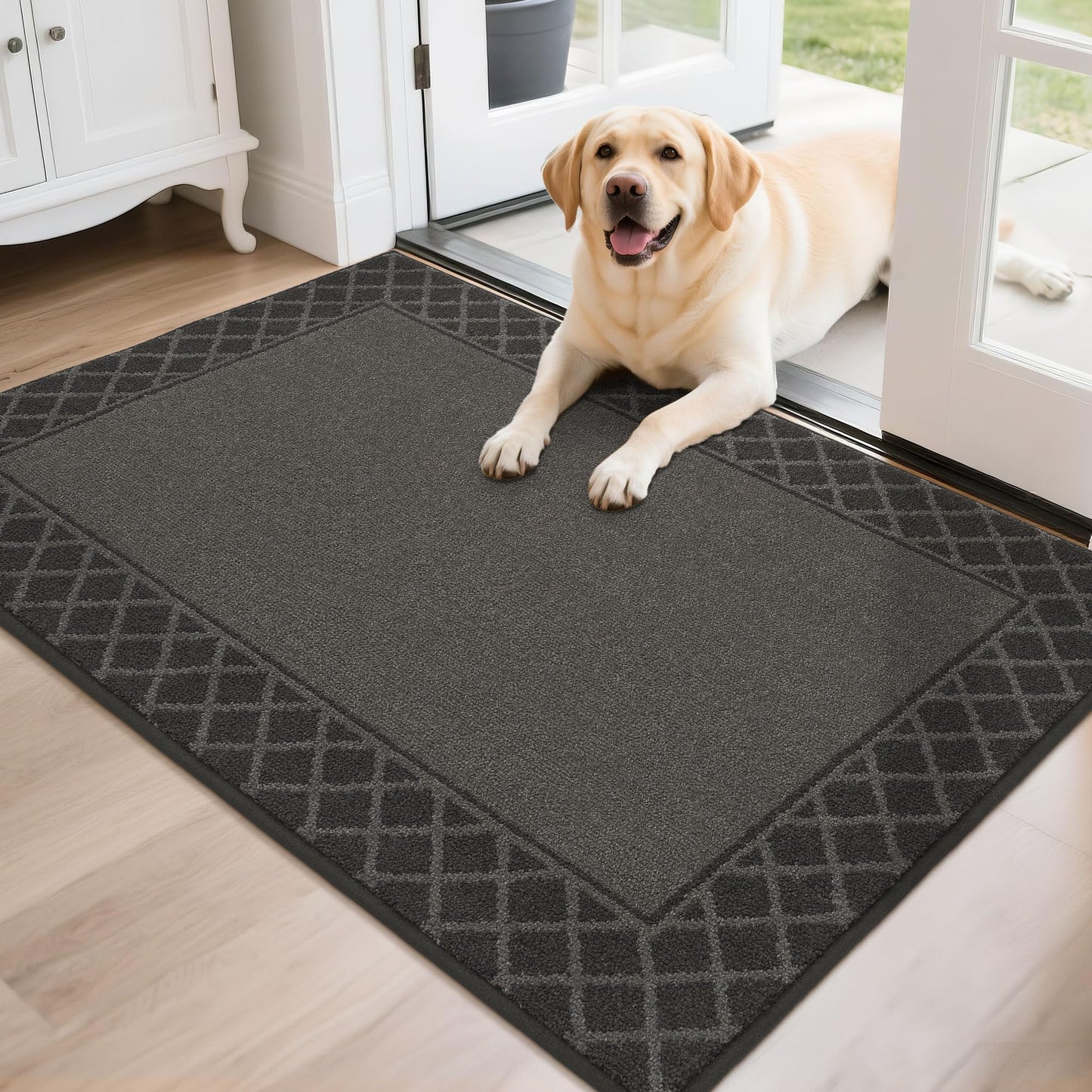 BEQHAUSE Door Mat Indoor Entrance Dirt Trapper Rugs for Entryway Non Slip Welcome Mat Absorbent Floor Mat Low Profile Washable Front Doormat for Dirty Paws, 32" x 48", Black