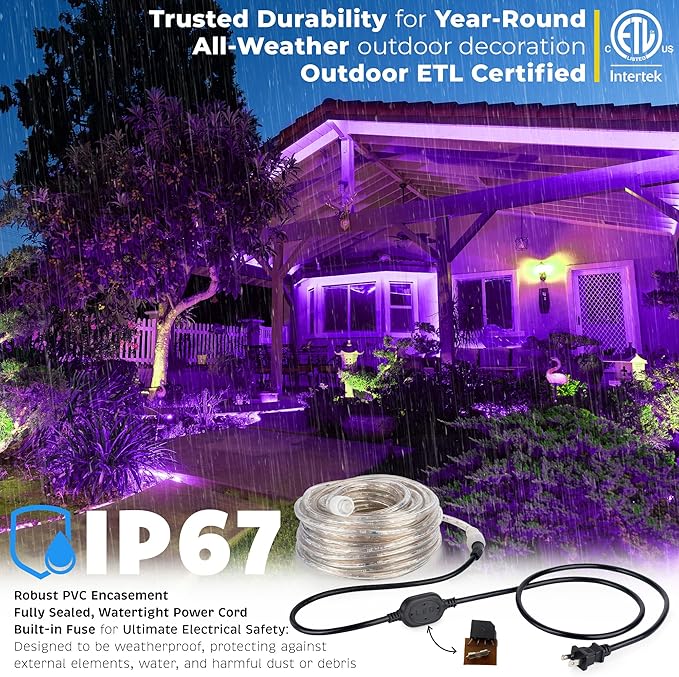 WYZworks 288LEDs 25ft LED Outside Rope Lights, Outdoor ETL Certified Waterproof Permanent 360 Degree Light Emitting, Flexible Tube, Connectable, Christmas Palm Tree Exterior Landscape, Purple