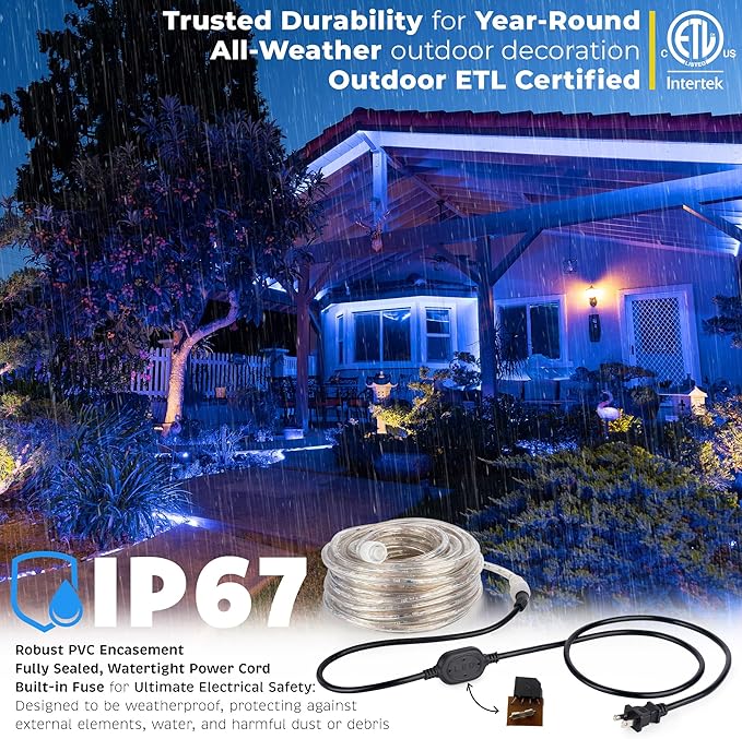 WYZworks 1116LEDs 100ft LED Outside Rope Lights, Outdoor ETL Certified Waterproof Permanent 360 Degree Light Emitting, Flexible Tube, Connectable, Christmas Palm Tree Exterior Landscape, Blue