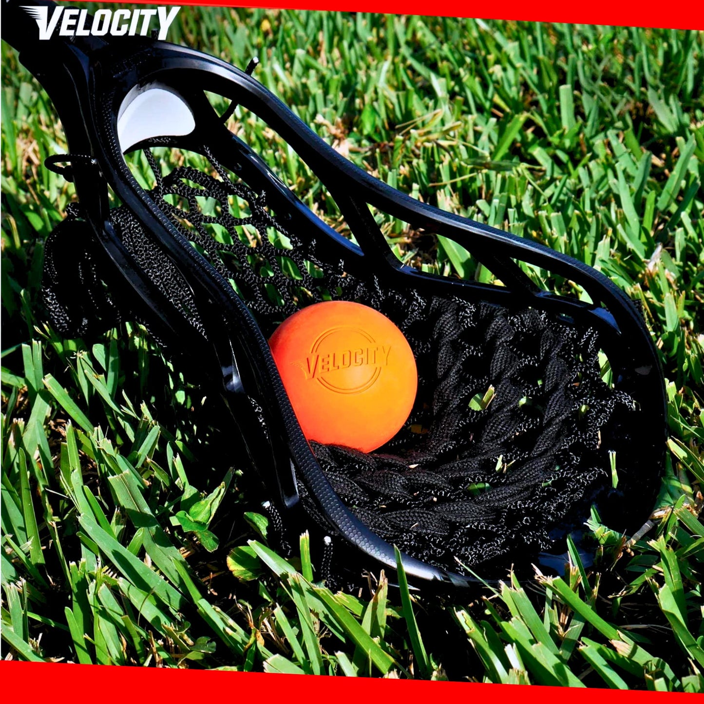 Velocity Practice Lacrosse Balls - 1, 2, 3, 6, 12, 18, 24, 36, 60 and 120 Packs - Official Size and Weight - White