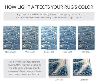 SAFAVIEH Area Rug 9x12 - Florida Shag Collection - Large - Light Blue & Cream, Scroll Design, Non-Shedding & Easy to Clean, High-Low Plush Pile, Ideal for Living Room, Bedroom, Dining (SG455-6011)