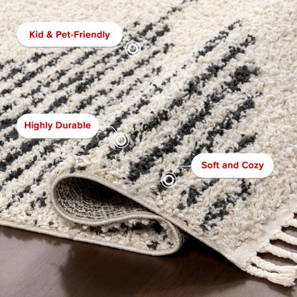 nuLOOM Bria Moroccan Shag Tasseled Area Rug - Oval 3x5 Accent Shag Rug Modern/Contemporary Off-White/Charcoal Rugs for Living Room Bedroom Dining Room Nursery Entryway
