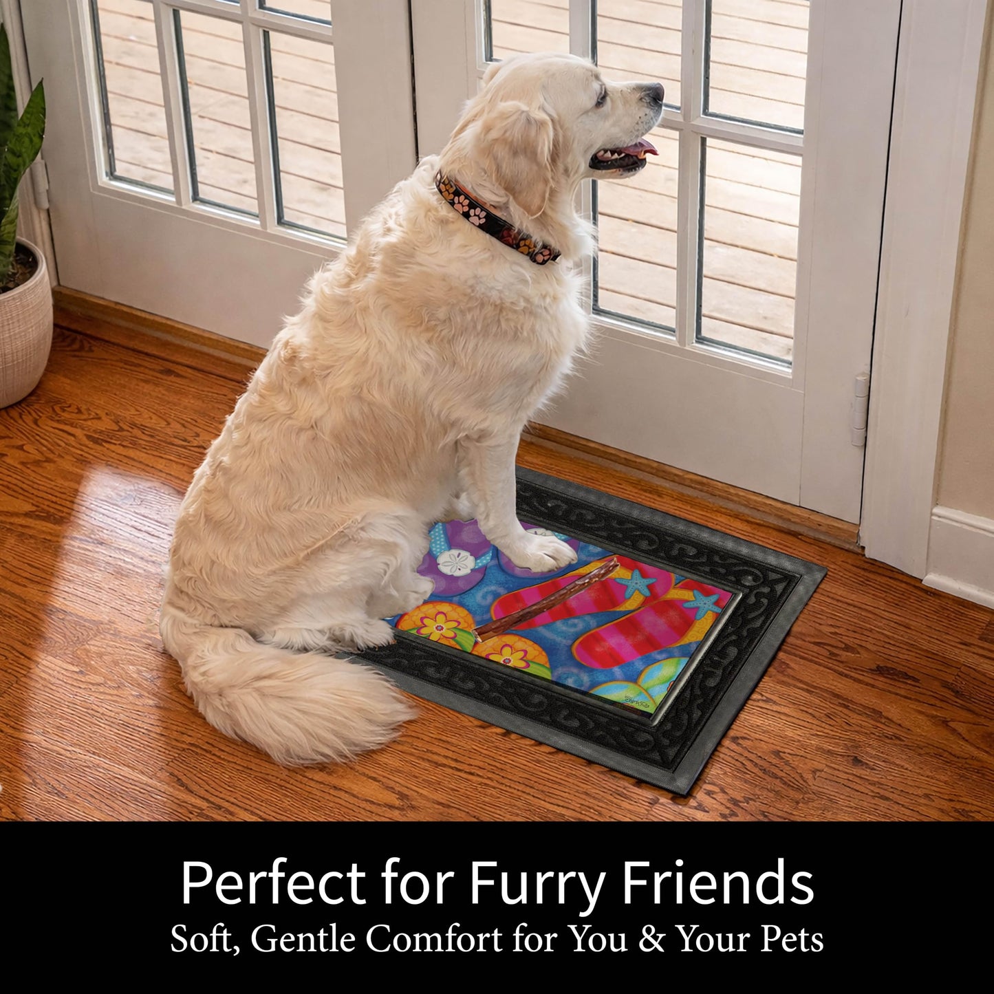 Evergreen Sassafras Doormat Insert Bundle & Tray Set of 5, Spring Summer Fall Winter Interchangeable Entrance Door mats Indoor and Outdoor Welcome Mat 30 x 18 Tray Non Slip Backing Low Profile