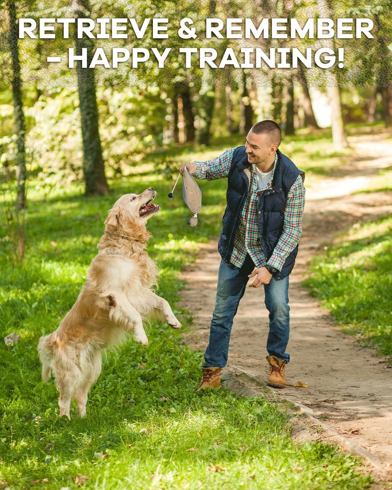 gardmate Dog Bumper for Water Retrieving - Bionic Dove Dog Training Dummy with Floating and Tear - Hunting Dog Toy - Durable Bite-Resistant Toy for Hound Training(Dove)