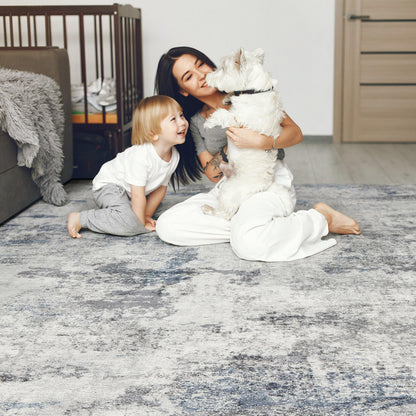 DMOYEST 10x14 Area Rug for Living Room, Washable & Non Slip Large Indoor Carpet, Kid & Pet Friendly Soft Thin Low Pile Abstract Rug for Bedroom and Office - Grey Blue