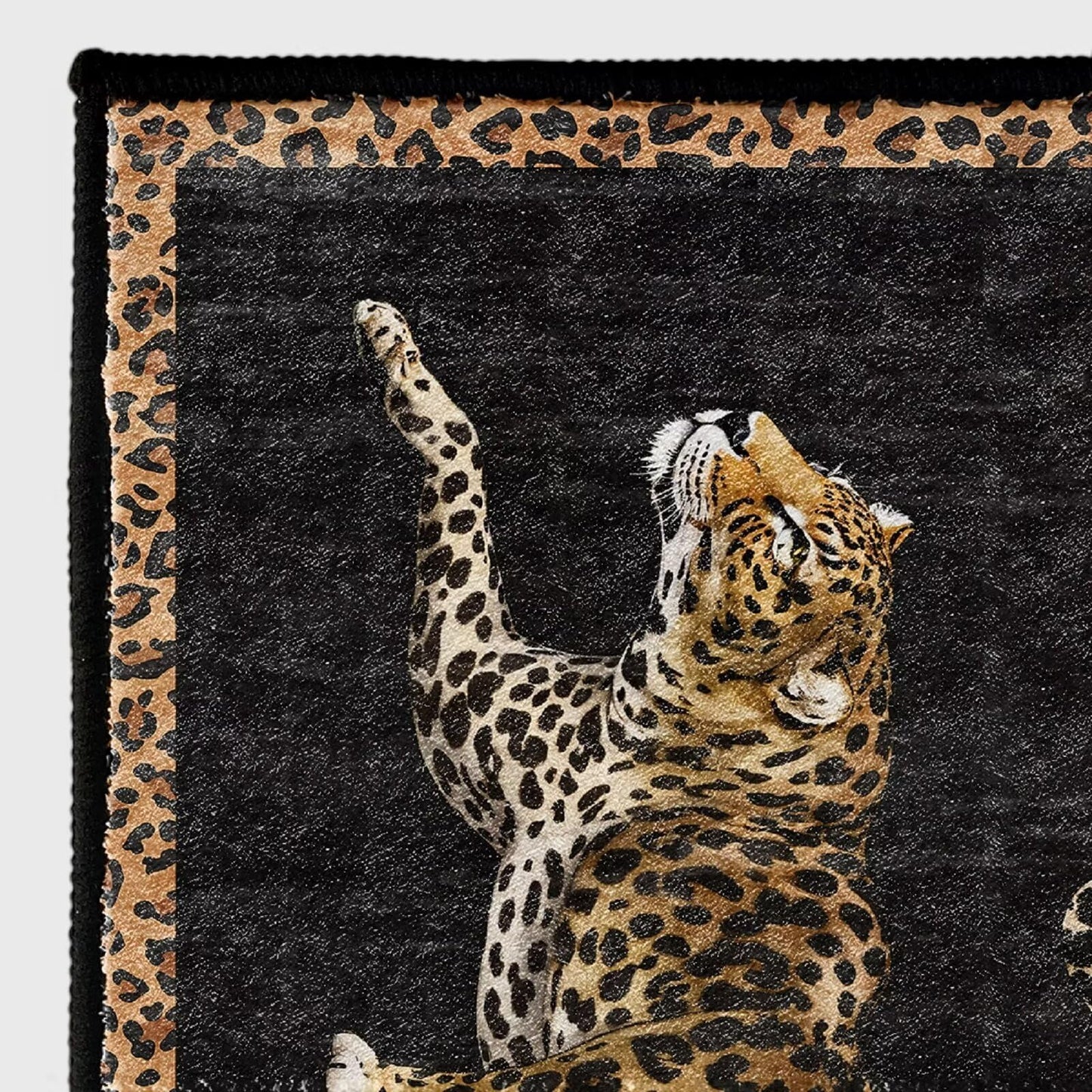 UUYDFH Black Cheetah Area Rug 2 by 3ft Small Leopard Rugs Washable Non-Slip Decorative Indoor Wildlife Animal Floor Mats for Bedroom Bathroom Doormats