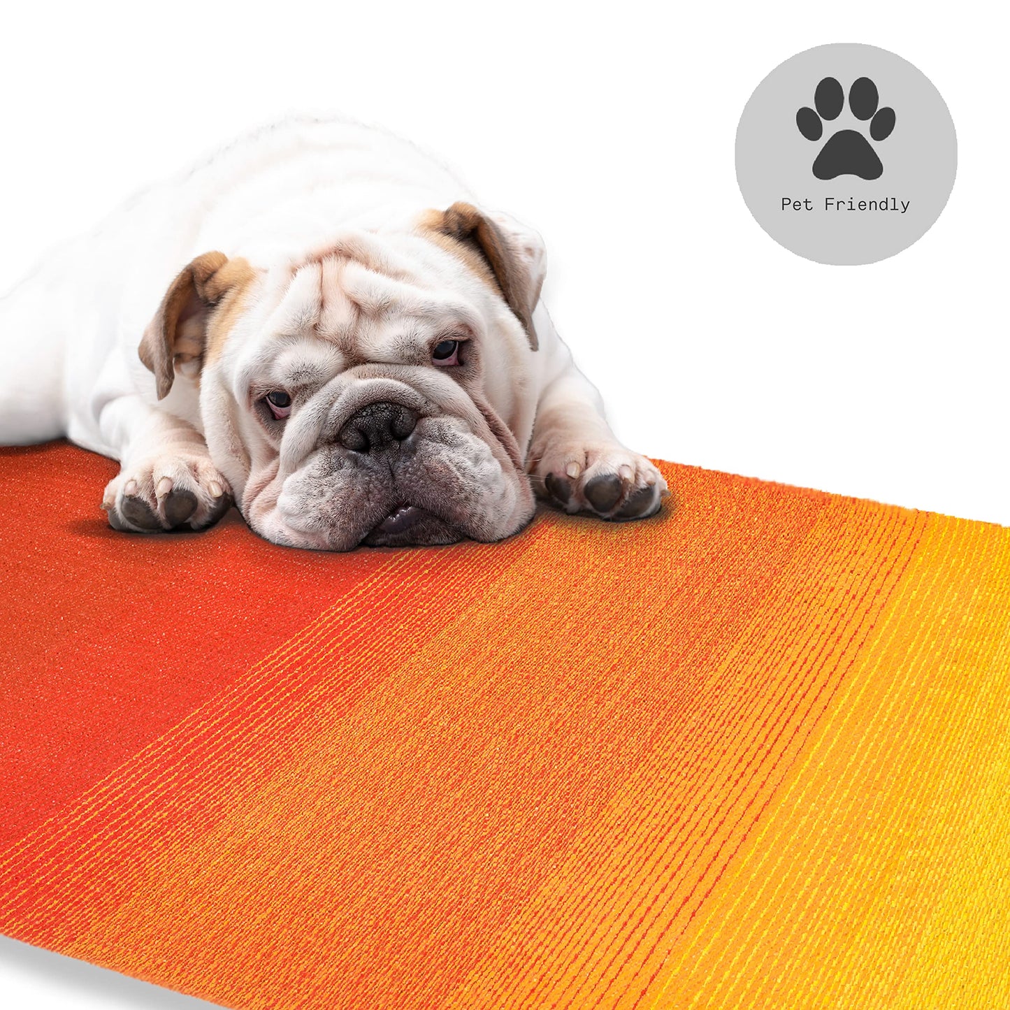 Fab Habitat Outdoor Rug - Waterproof, Fade Resistant, Crease-Free - Premium Recycled Plastic - Ombre - Patio, Deck, Porch, Balcony, Laundry Room - Big Sur - Sunset - 4 x 6 ft