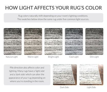 SAFAVIEH Area Rug 9x12 - Adirondack Collection - Large - Silver & Black, Modern Ombre Design, Non Shedding & Easy to Clean, Ideal for Living Room, Bedroom, Office, Dining Space (ADR113A)