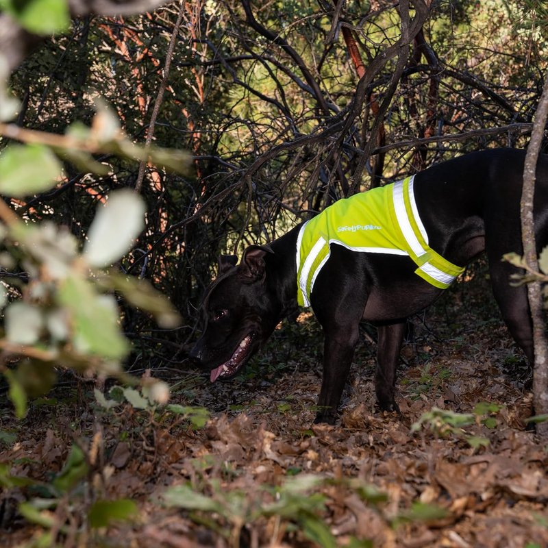 SafetyPUP Dog Vest - Reflective Hi-Visibility Fluorescent Yellow for Safety | Mid Back Coverage