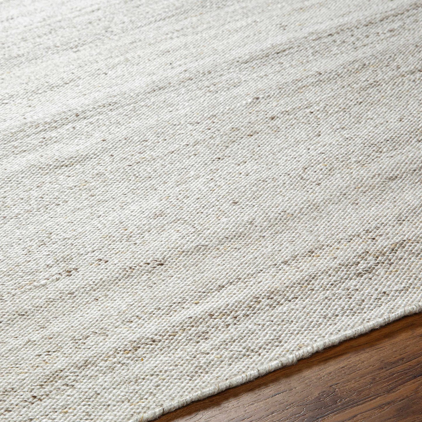 Hauteloom Amrit Recycled Material Living Room, Bedroom Area Rug - Contemporary - Light Gray, Cloud Gray, Multi Brown - 2' x 3'