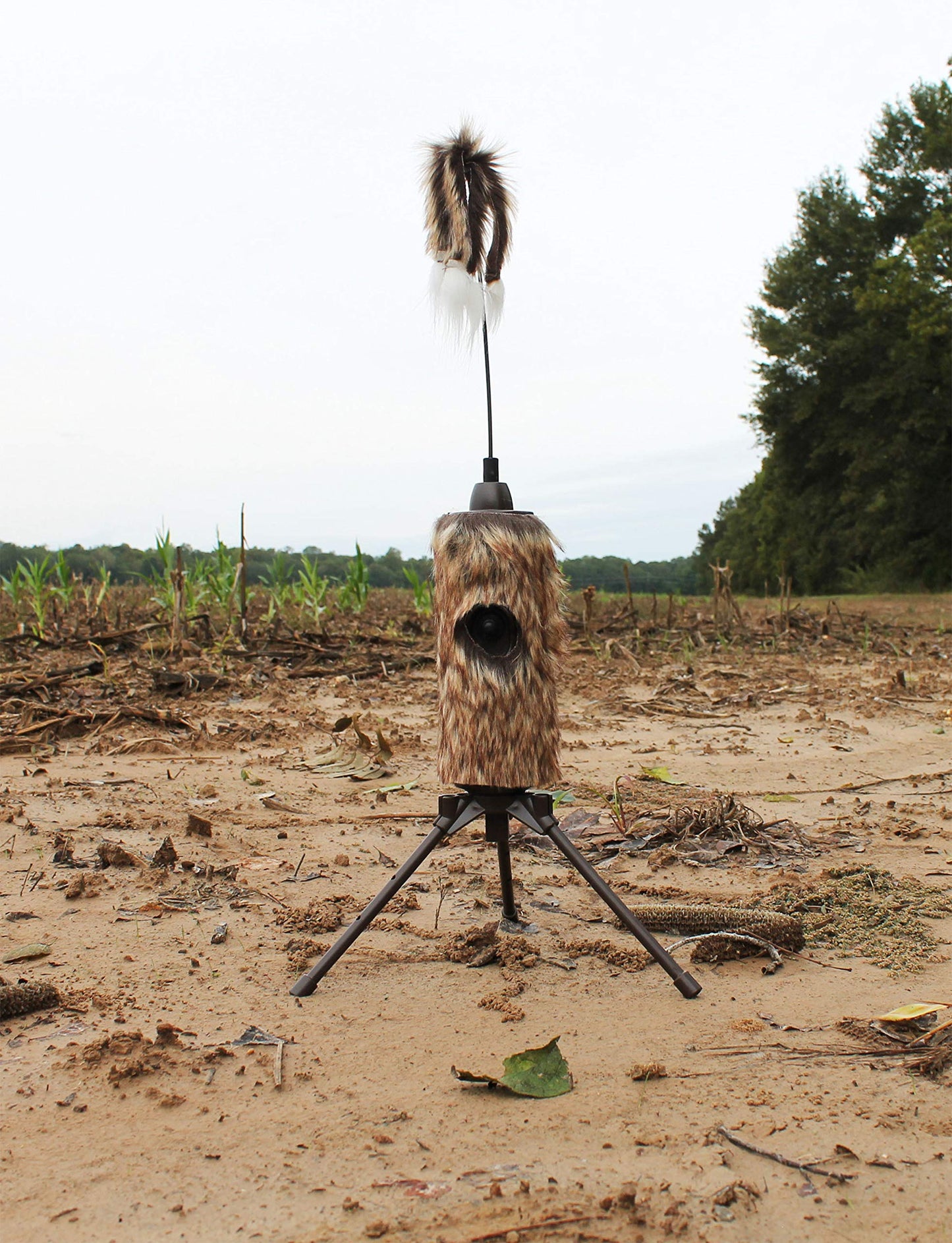 MOJO Outdoors Fuzzy Critter Decoy for Predator Hunting, Great for Coyote and Bobcat Hunting and as a Varmint Decoy, Tail Decoy, Rabbit Decoy