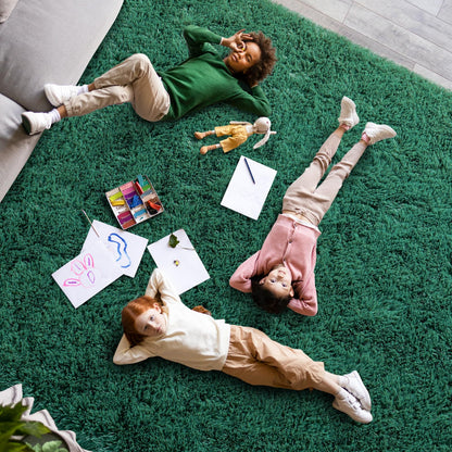 Dssimo Super Soft Area Rugs for Living Room, 4x6 Feet Modern Shag Dark Green Rug, Fluffy Plush Non-Slip Green Carpet for Girls Boys Teens, Kids Home Decor for Bedroom Dorm Nursery Classroom, Carpets