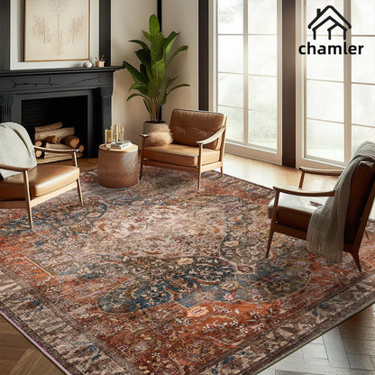 chamler 6x9 Washable Area Rug Boho Medallion Distressed Design Non-Shedding Easy Care Ideal for High Traffic Areas in Rugs for Living Room Bedroom Office Kitchen Large Carpet