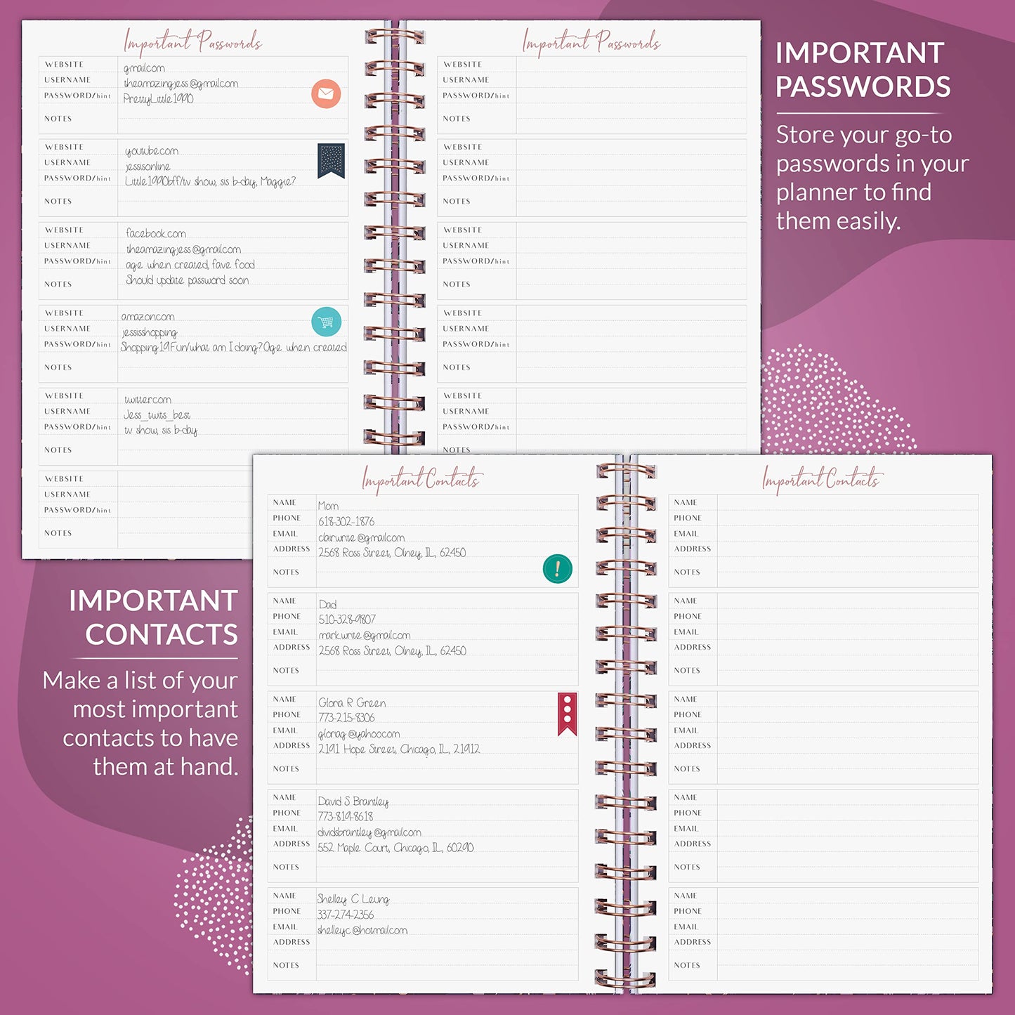 PLANBERRY Weekly Planner – Undated Life Organizer & Budget Planner – Time Management, Goal Setting, To-Do List, Work-Life Balance & Habit Tracker – 6.1″ x 8.1″ (Wild Purple)