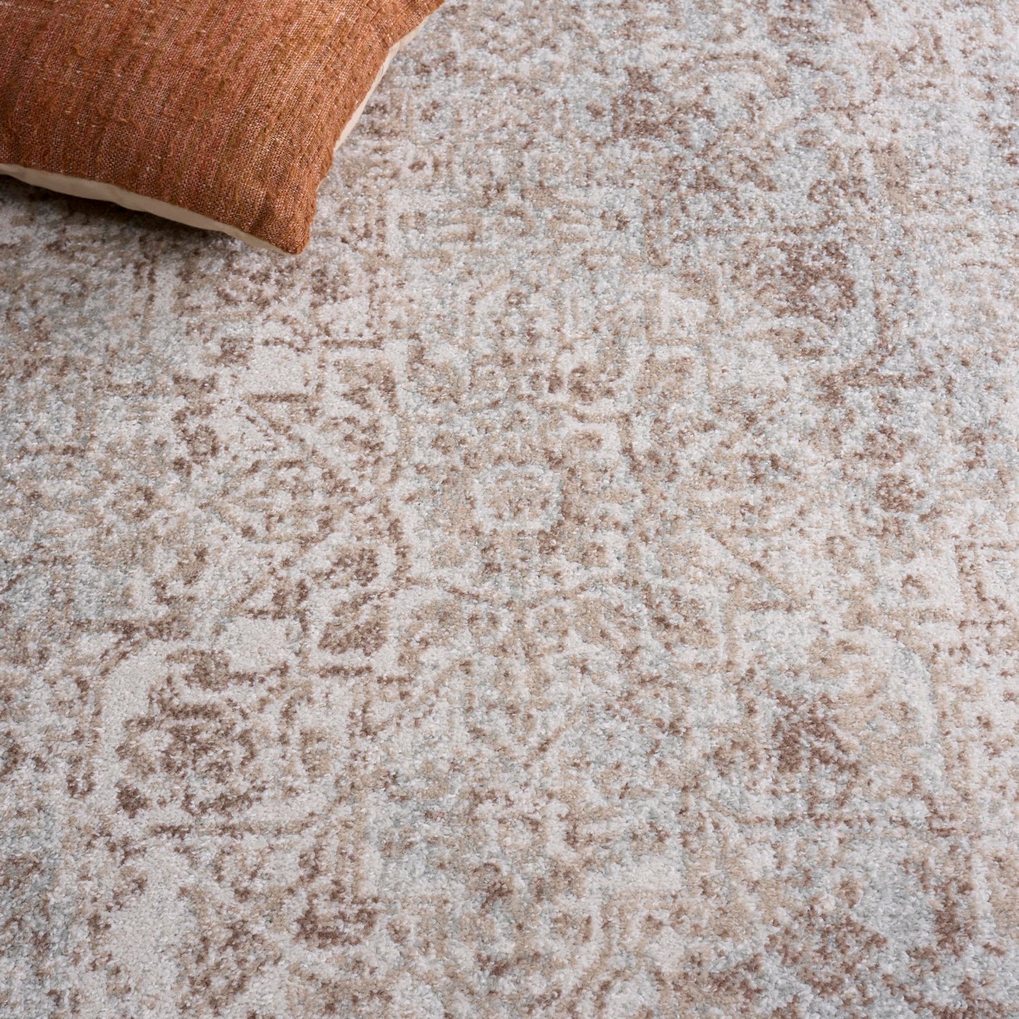 SAFAVIEH Area Rug 8x10 - Evoke Collection - Large - Ivory & Taupe, Distressed Design, Non-Shedding & Easy Cleaning, Ideal for Living Room, Bedroom, Dining Space (EVK256E)