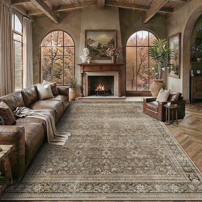 Schweek 8x10 Washable Area Rug Brown Neutral Vintage Distressed Rugs Large Non-Slip Living Room Area Rugs, Soft Low Pile Carpet Indoor Mat Throw Rug for Bedroom Dining Room Office Nursery