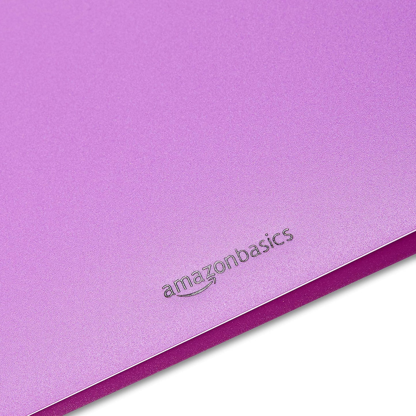 Amazon Basics Plastic 3 Hole Punch Folders with 2 Pockets, 8.5 x 11 inches, Pack of 12, Assorted Color